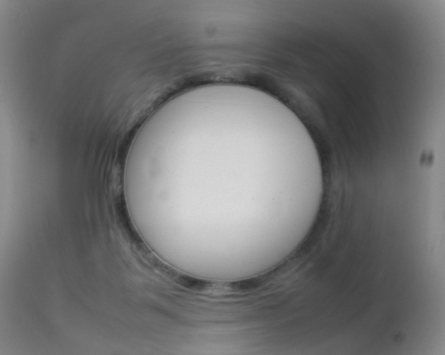 X0000112850123200908211040