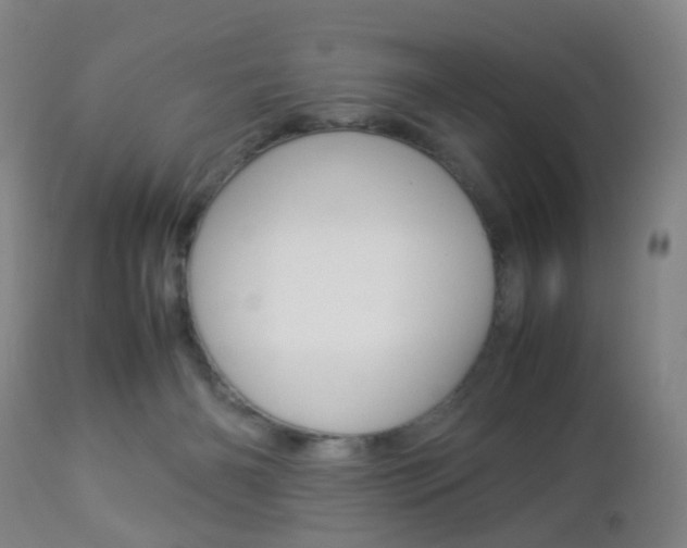 X0000112850126200908211040