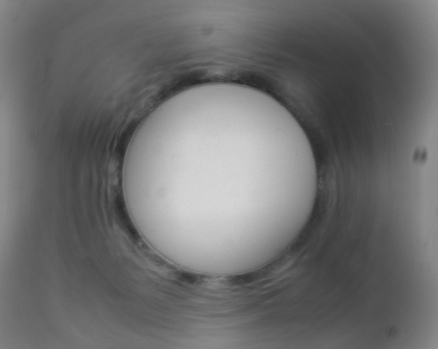 X0000112850127200908211040