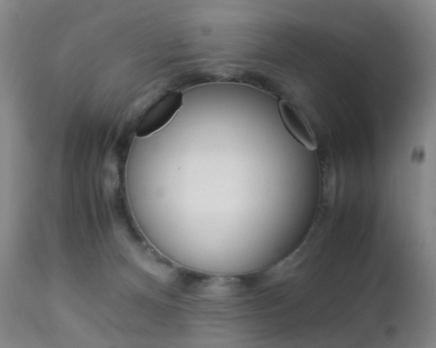 X0000112850128200908211040