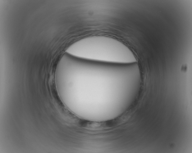 X0000112850129200908211040