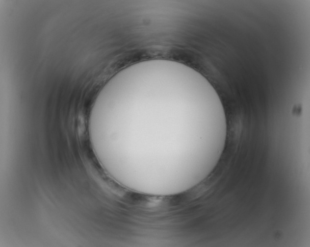 X0000112850130200908211040