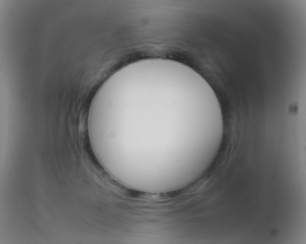 X0000112850131200908211040