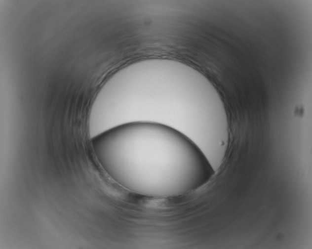 X0000112850132200908211040