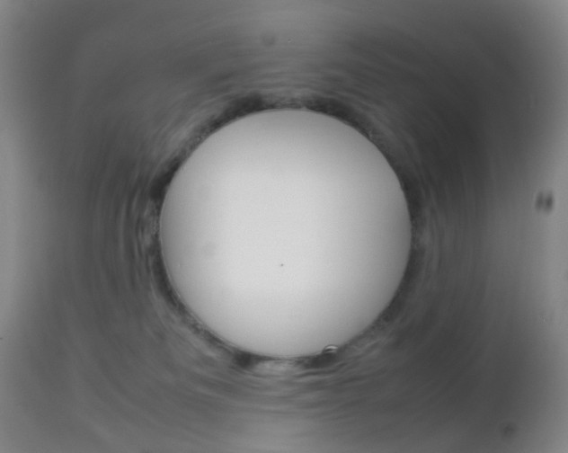 X0000112850133200908211040