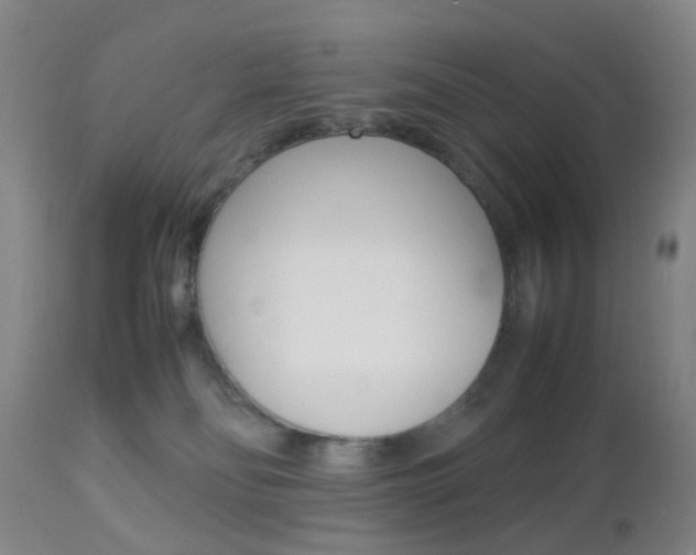 X0000112850134200908211039