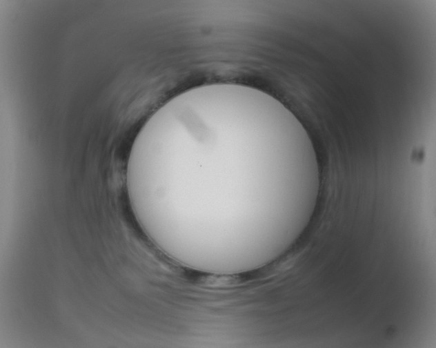 X0000112850135200908211039