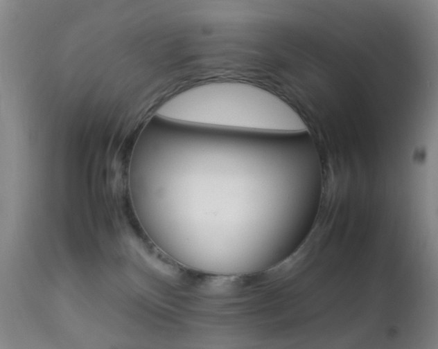 X0000112850136200908211039