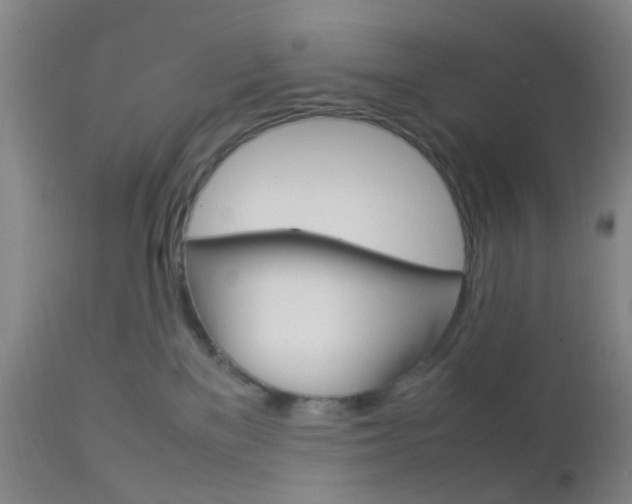 X0000112850137200908211039