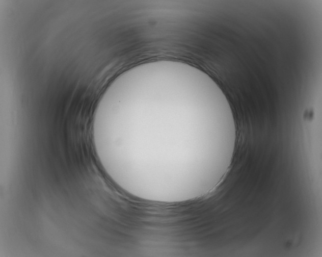 X0000112850140200908211039