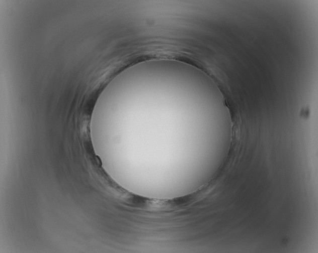 X0000112850141200908211039