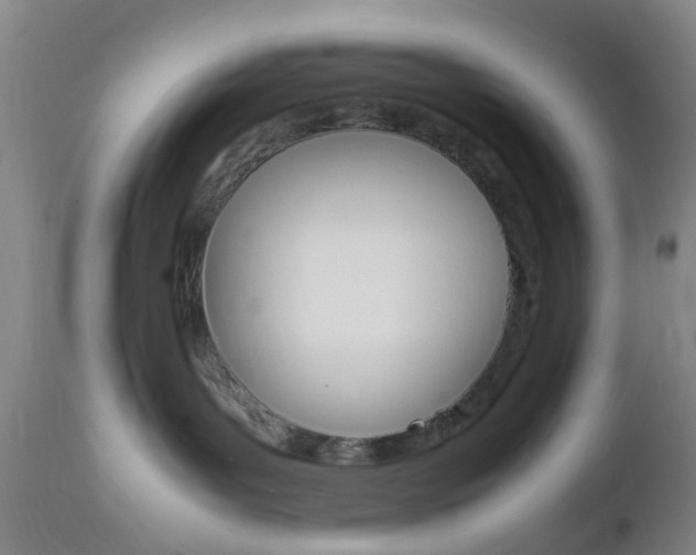 X0000112850143200908211039