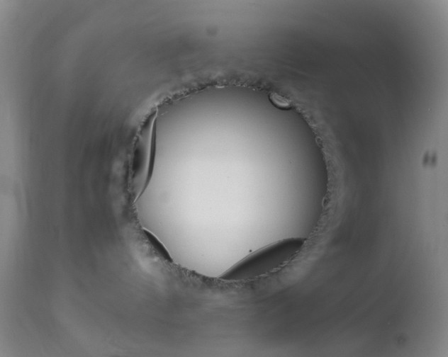 X0000112850144200908211039