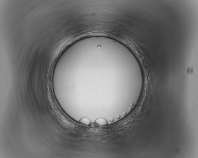 X0000112850145200908211039