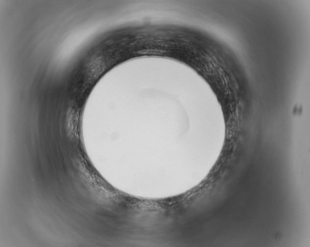 X0000112850146200908211039