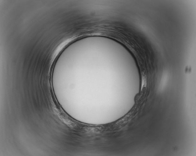 X0000112850147200908211039