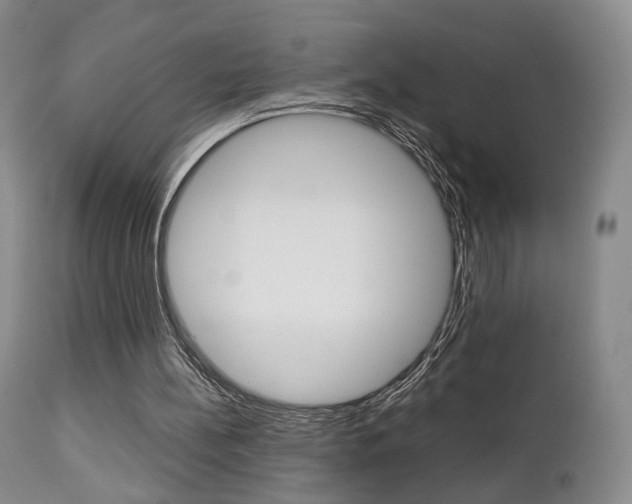 X0000112850148200908211039