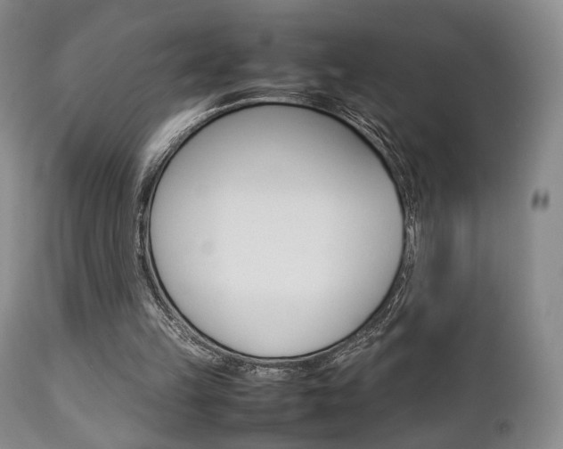 X0000112850149200908211039