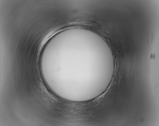 X0000112850150200908211039