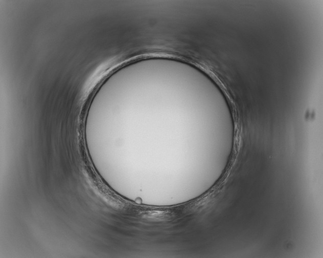 X0000112850151200908211039
