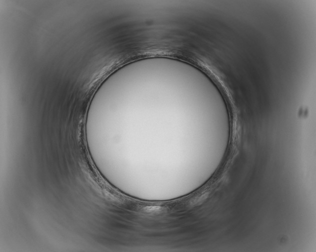 X0000112850153200908211039