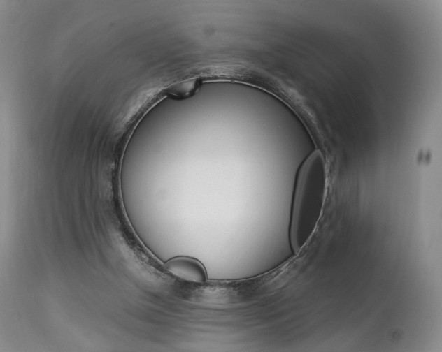 X0000112850154200908211039