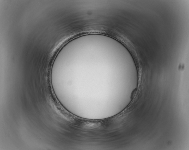 X0000112850155200908211039