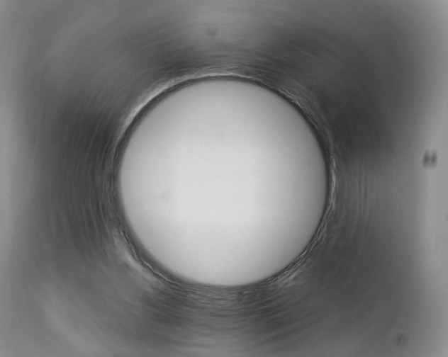 X0000112850156200908211039