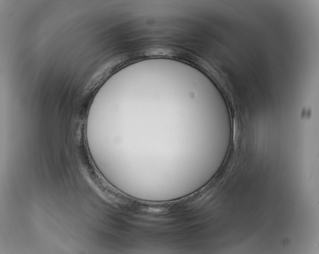X0000112850157200908211039
