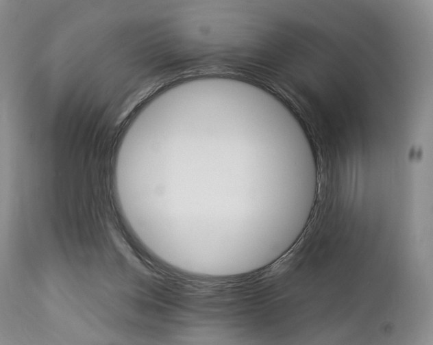 X0000112850158200908211039