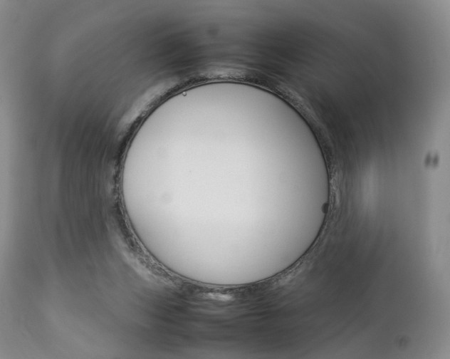 X0000112850159200908211039