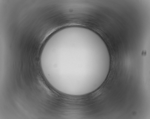 X0000112850160200908211039