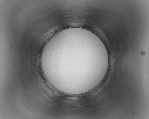 X0000112850161200908211039