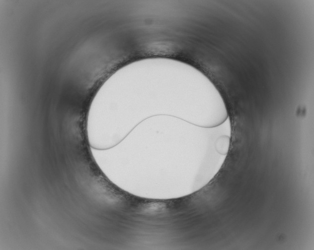 X0000112850162200908211039