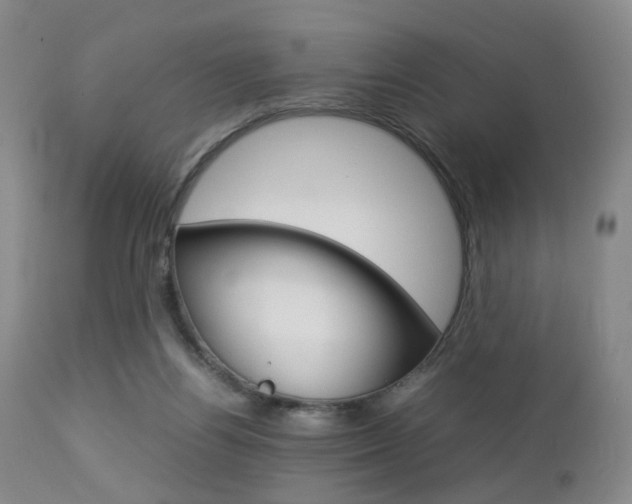X0000112850164200908211039