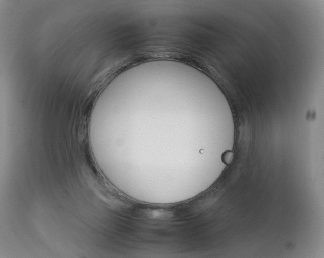 X0000112850165200908211039