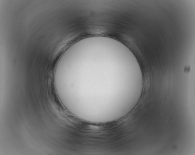 X0000112850167200908211039