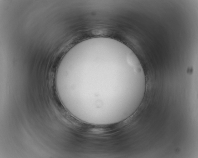 X0000112850171200908211039