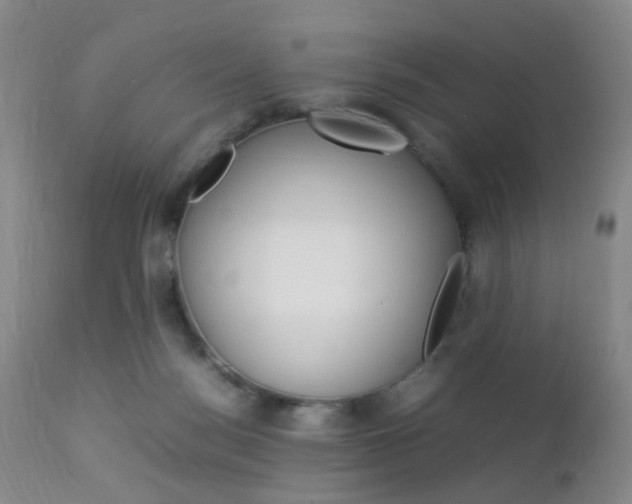 X0000112850172200908211039