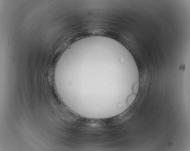 X0000112850175200908211039