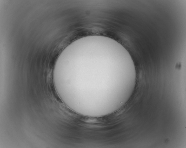 X0000112850177200908211039