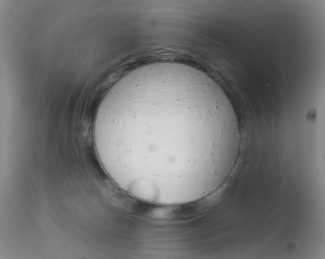 X0000112850178200908211039