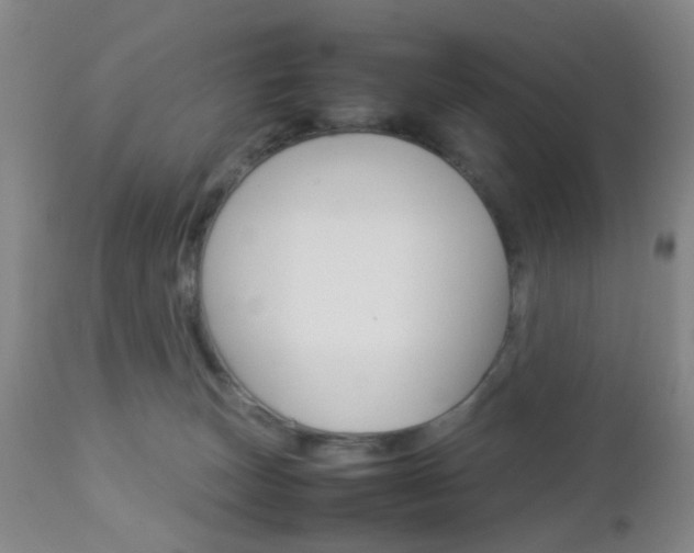 X0000112850179200908211039