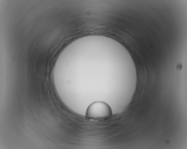 X0000112850180200908211039