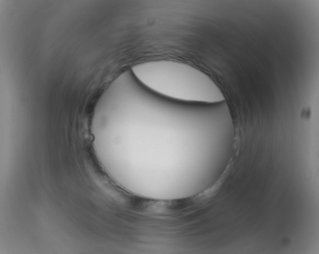 X0000112850182200908211039