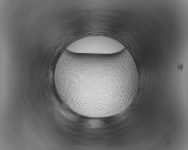 X0000112850183200908211039