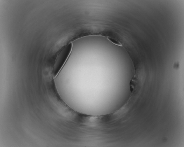 X0000112850184200908211039