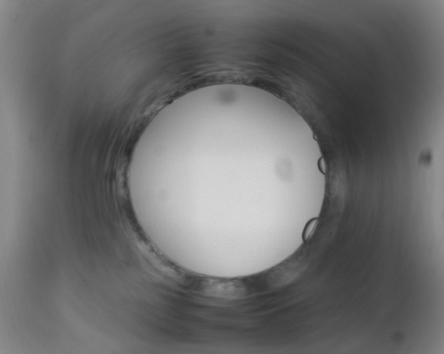 X0000112850185200908211039