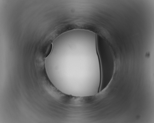 X0000112850186200908211039