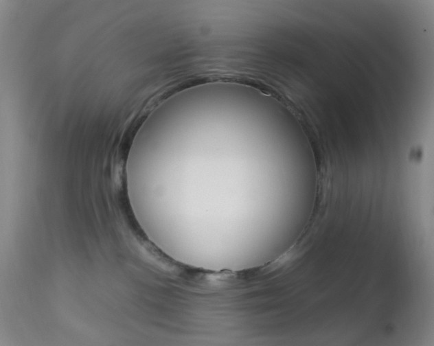 X0000112850188200908211039